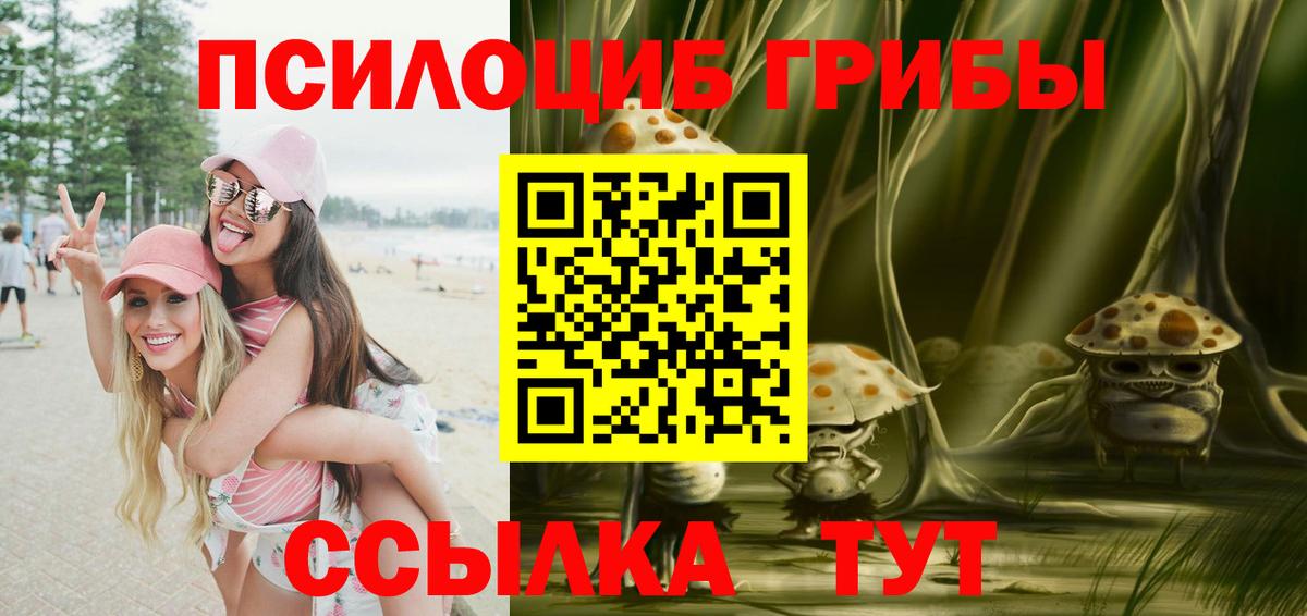 Галлюциногенные грибы GOLDEN TEACHER Кызыл