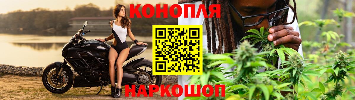 Каннабис план Кызыл